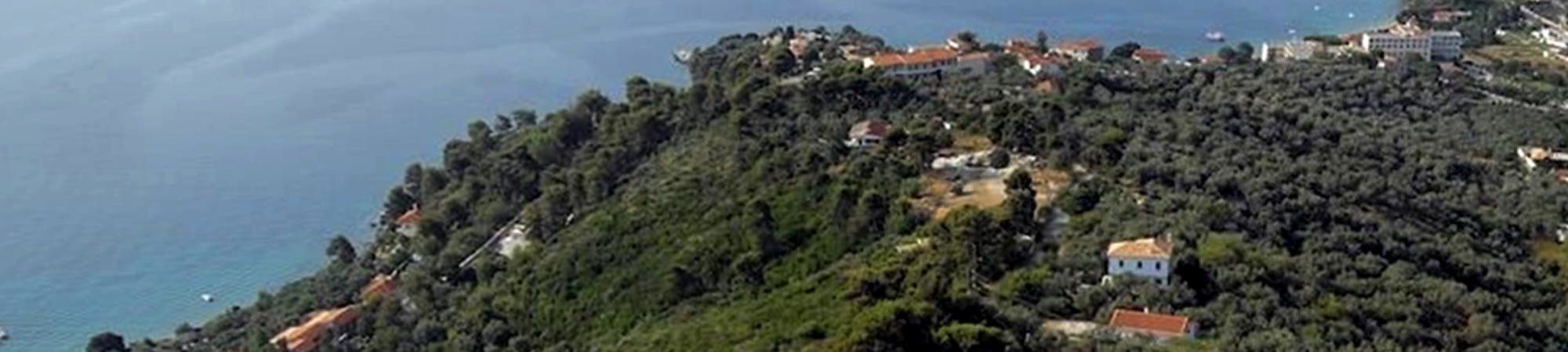 Vassilias
