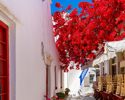 street_Mykonos_GREECE.jpg