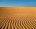 fuerteventura sand dunes.jpg