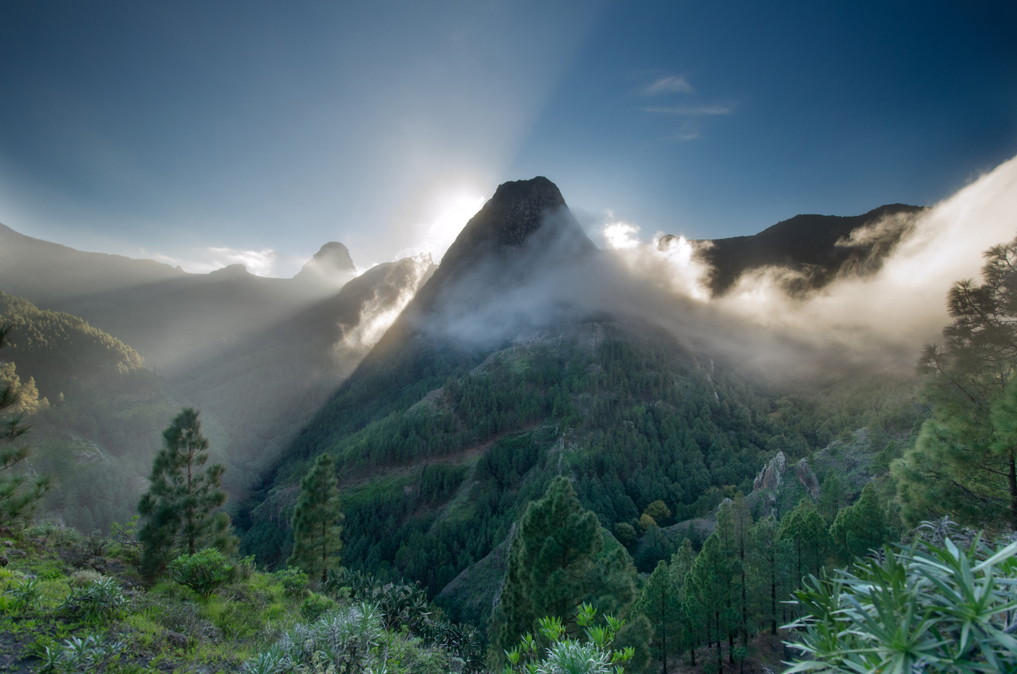 Garajonay National Park La Gomera