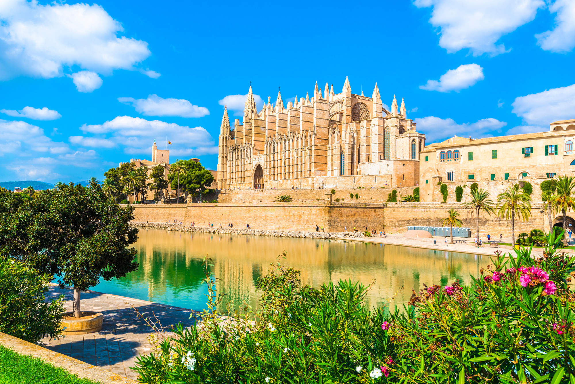 Palma Cathedral