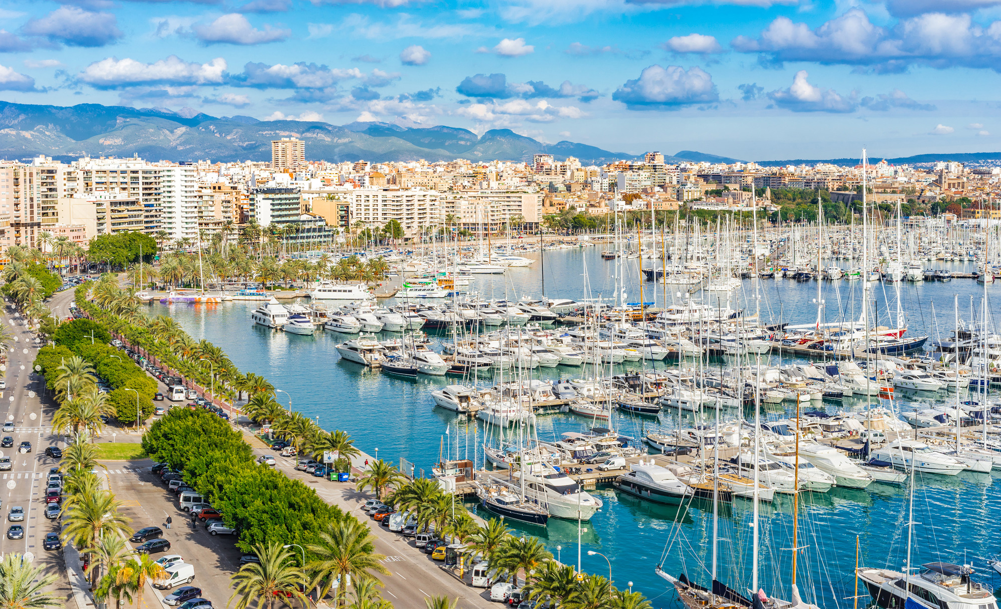 Palma Paseo Maritimo