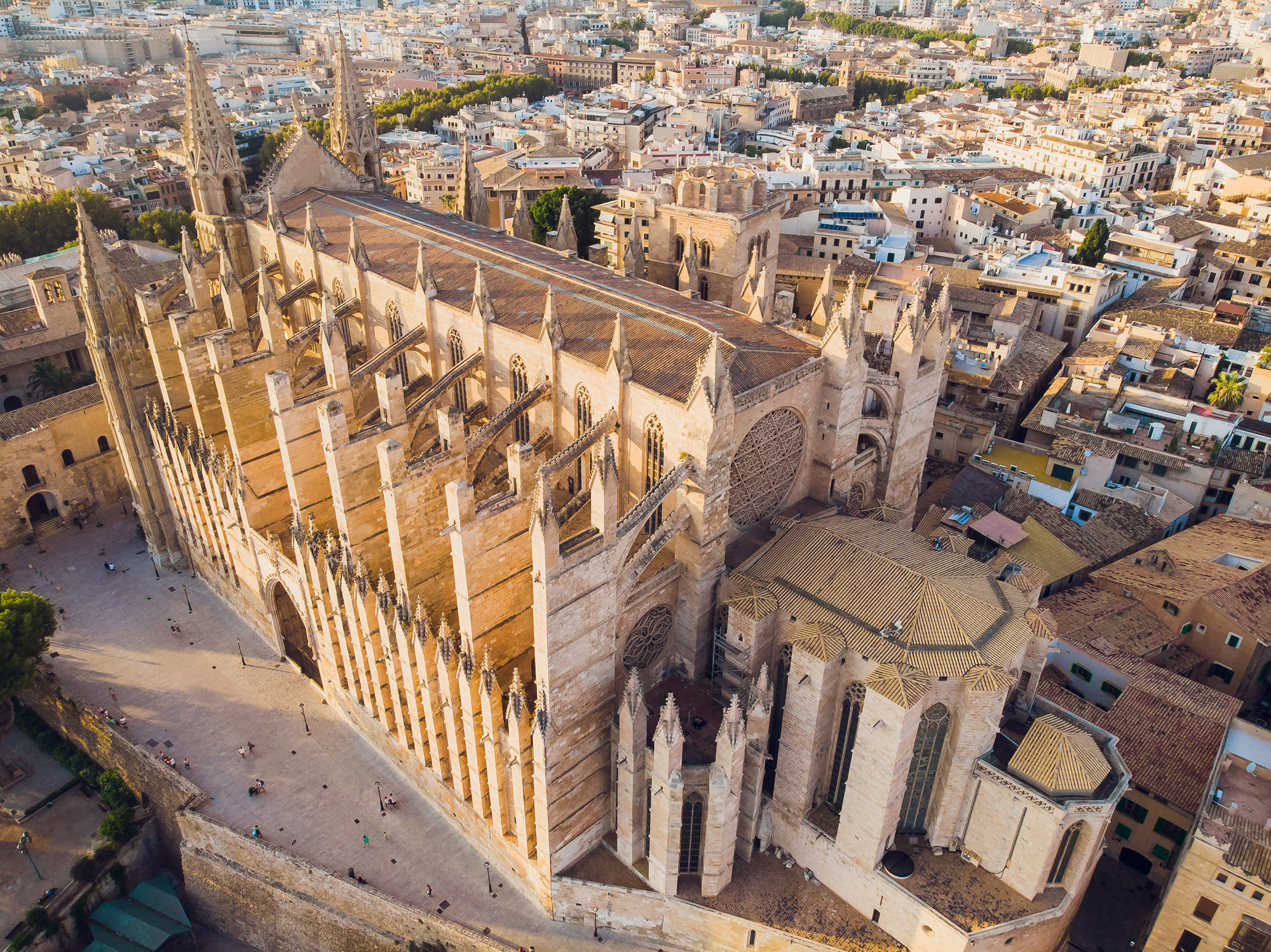 Palma Cathedral (1)