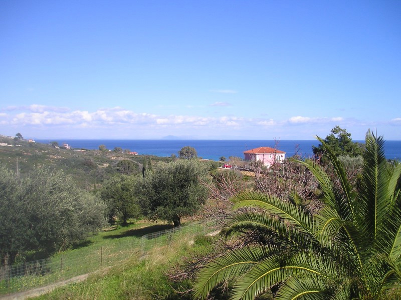 8. Pitas Studios