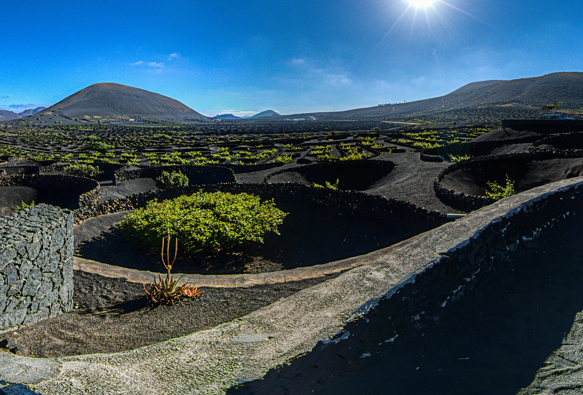 Bodega Geria Lanzarote