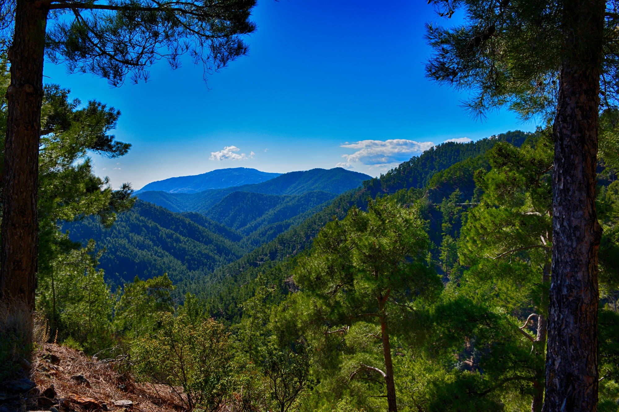 Troodos Mountains