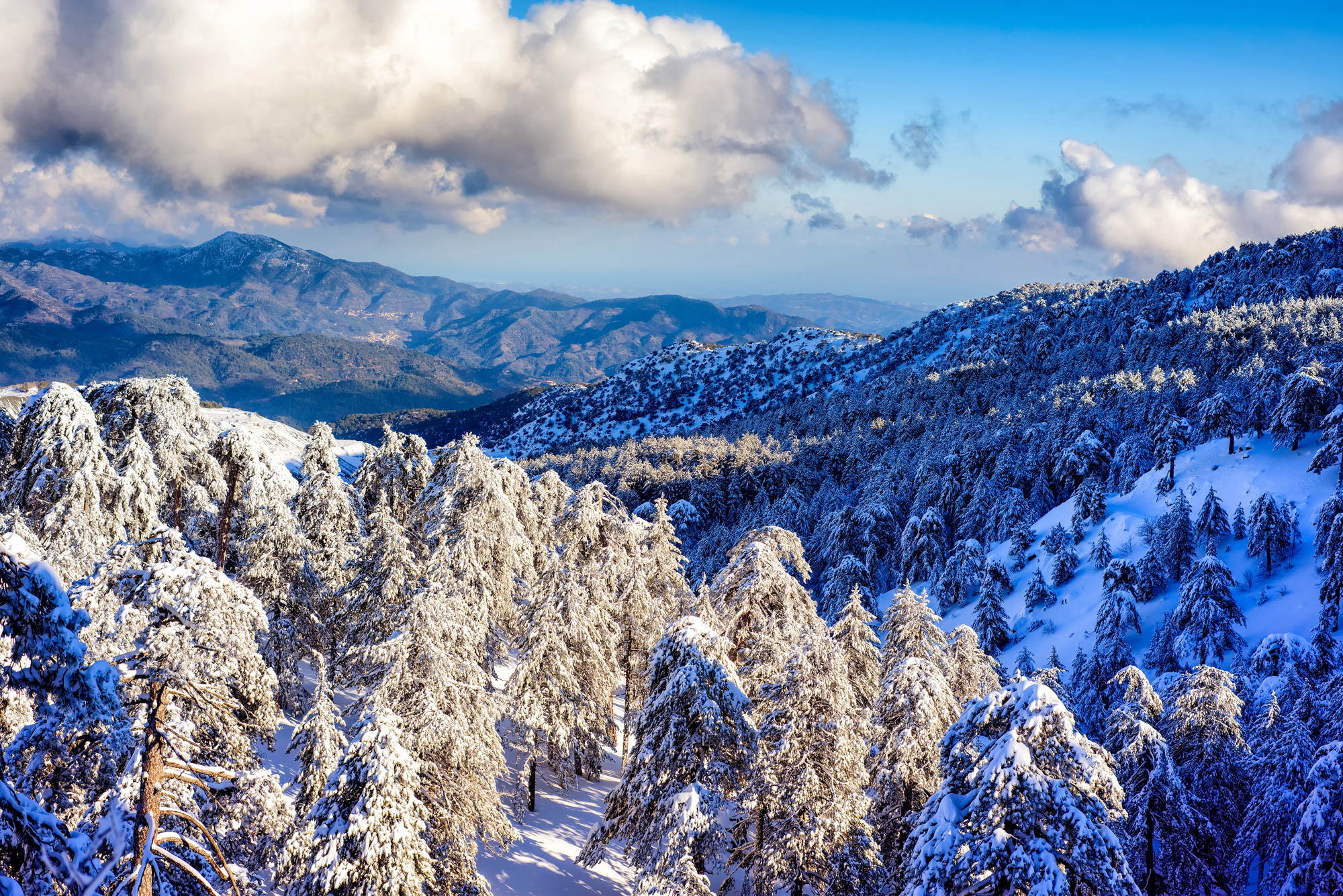 Troodos Mountains (1)