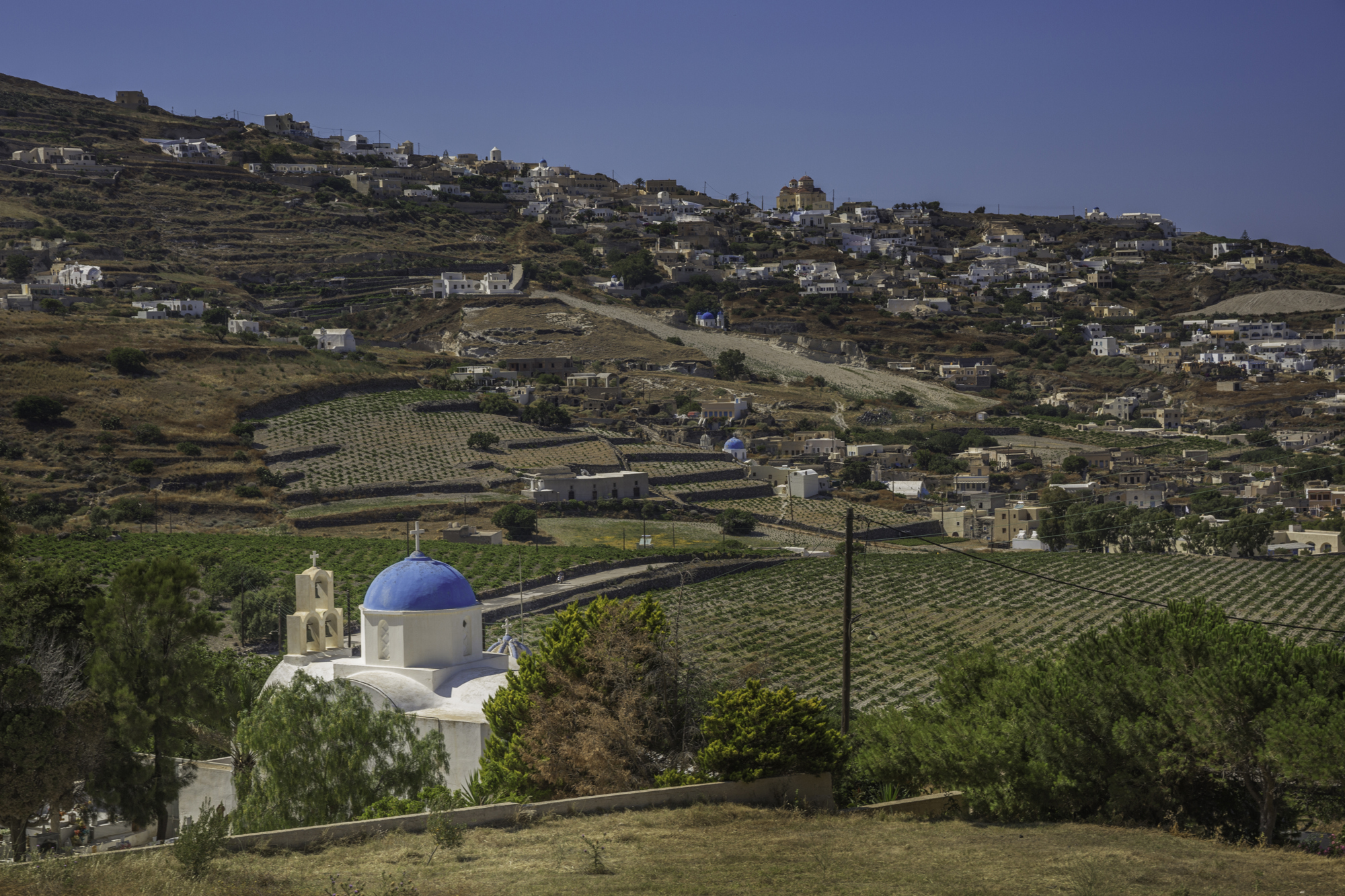 Santorini Vineyard Olympic Holidays