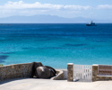 Gate Entrance To The Beach Mykonos Island Cyclad 2022 12 16 12 11 28 Utc