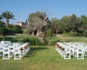 18 St Raphael Limassol Cyprus Olive Tree Ceremony Area Olympic Weddings