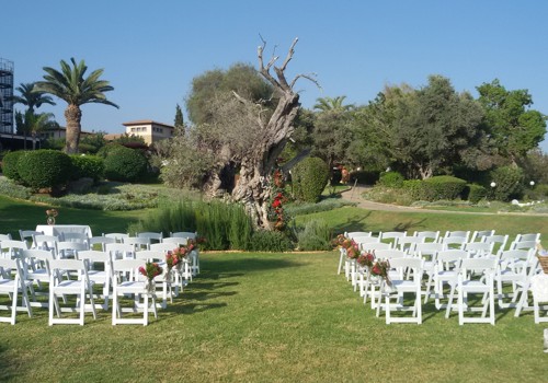 18 St Raphael Limassol Cyprus Olive Tree Ceremony Area Olympic Weddings