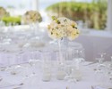 Santorini Gem Reception