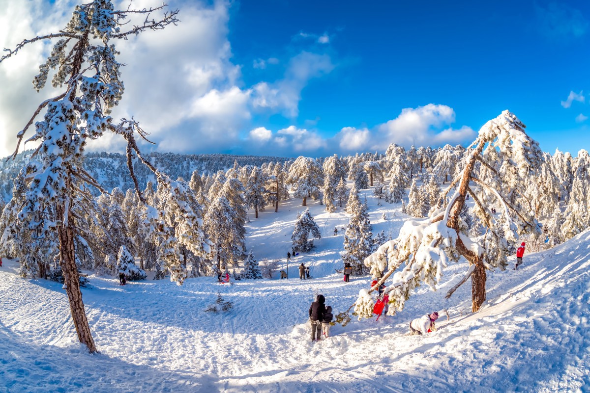 Troodos Mountains in Cyprus in January