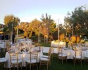 St Raphael Gardens Olive Tree Reception